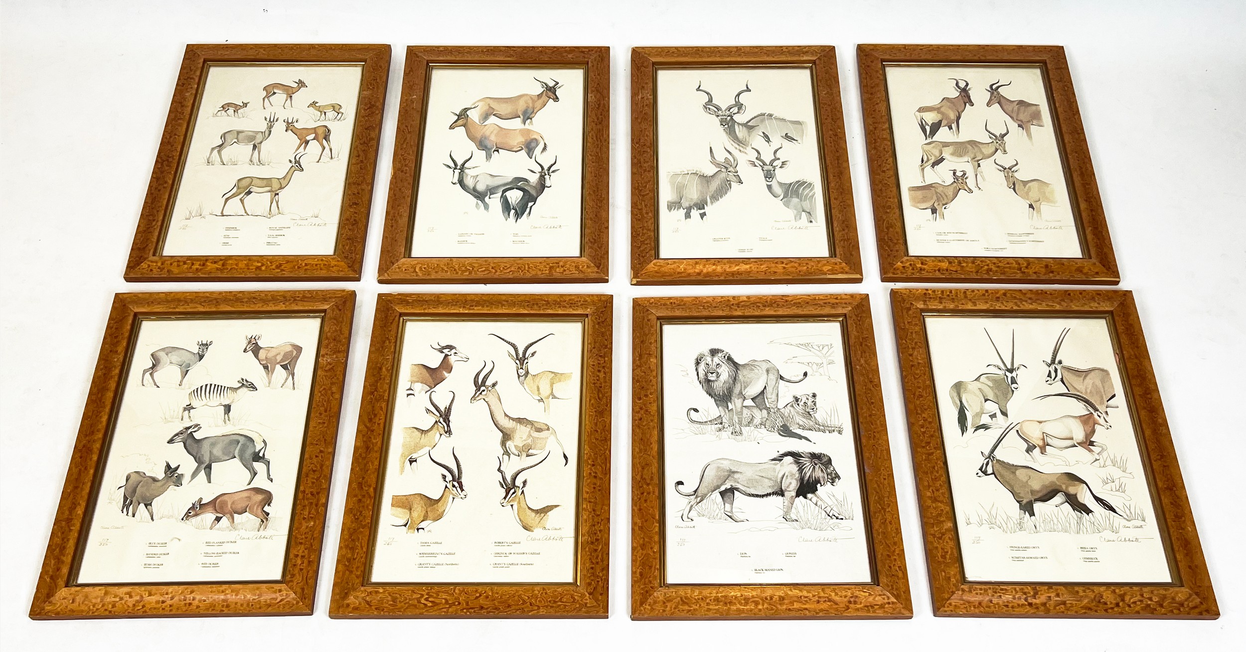 CLARE PAULINE ABBOTT (British/South African b.1921), 'Roland Wards Game Animals of Africa', a set of