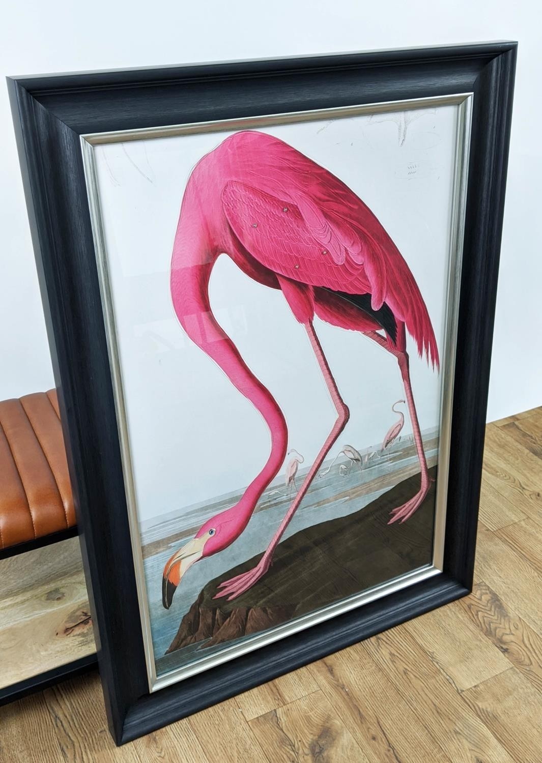 AFTER AUBADON FLAMINGO PRINT, framed, 106cm high, 76cm wide. - Image 6 of 6