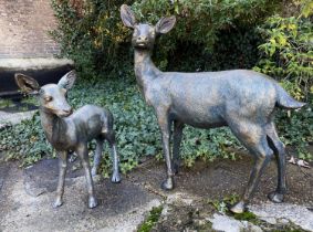 CONTEMPORARY SCHOOL SCULPTURAL STUDIES, a set of two, depicting a Doe and Fawn, resin, in a