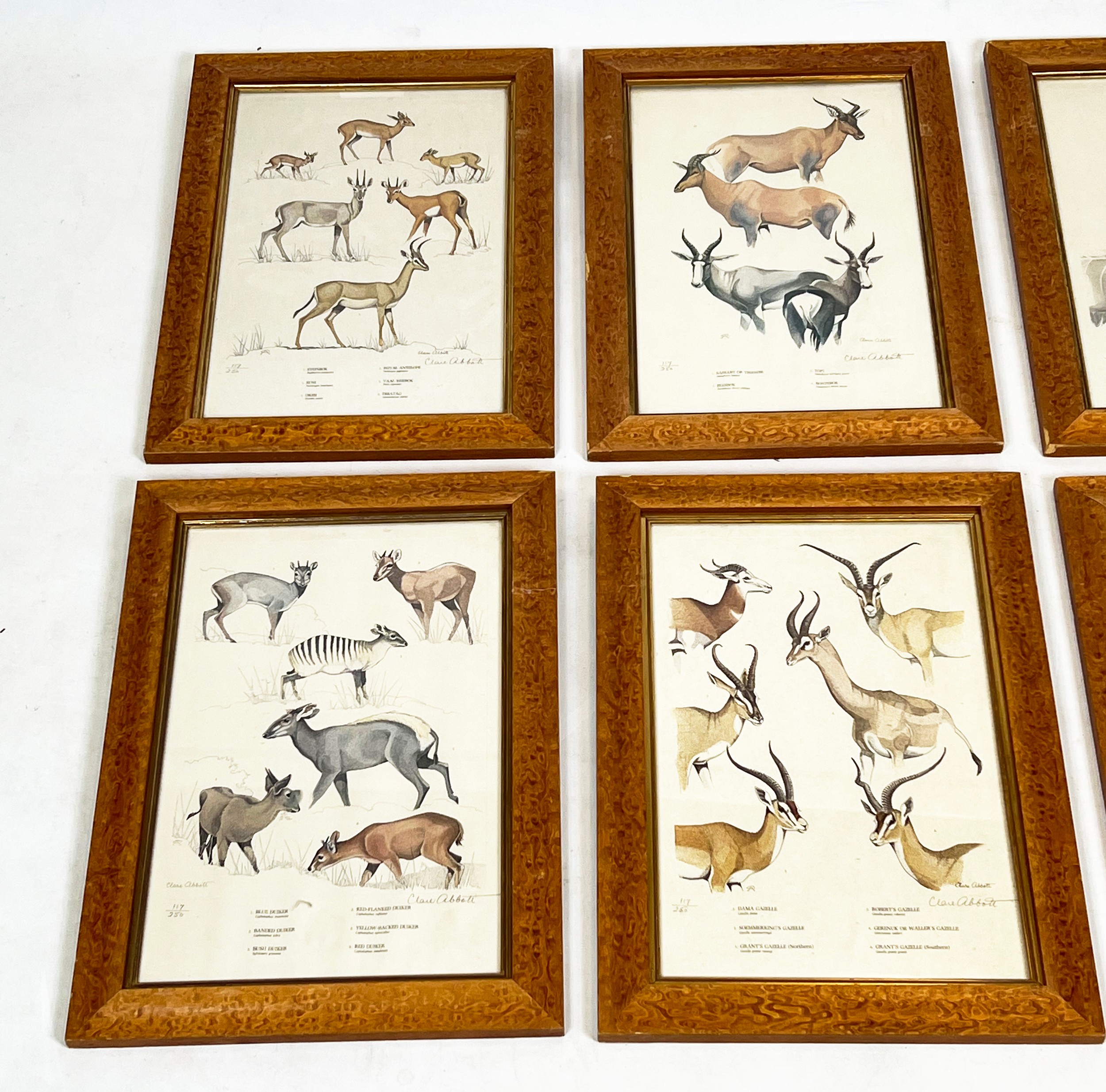 CLARE PAULINE ABBOTT (British/South African b.1921), 'Roland Wards Game Animals of Africa', a set of - Image 2 of 4