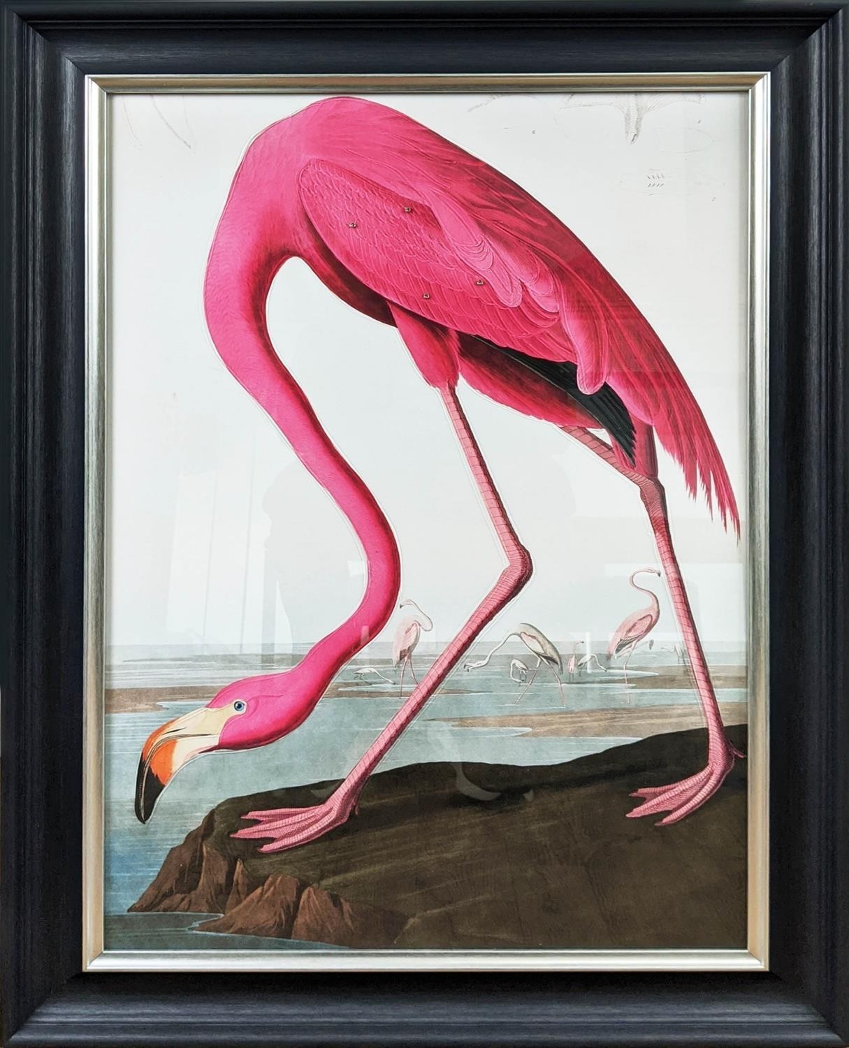 AFTER AUBADON FLAMINGO PRINT, framed, 106cm high, 76cm wide.