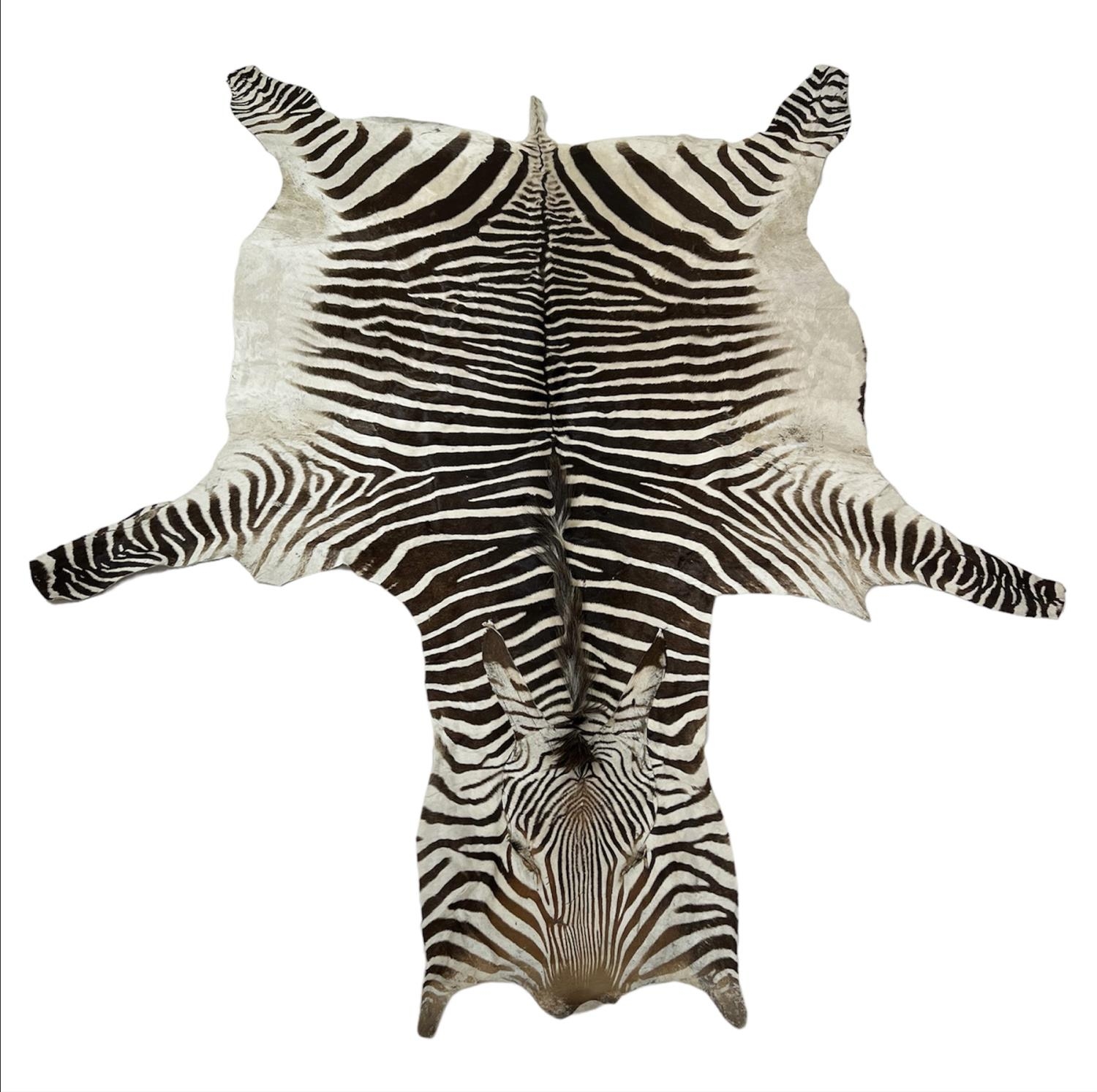 ZEBRA SKIN RUG, early 20th century full hide with a baize lining, 290cm x 191cm approx.