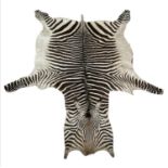 ZEBRA SKIN RUG, early 20th century full hide with a baize lining, 290cm x 191cm approx.