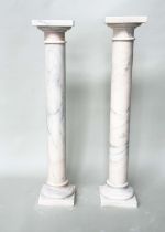 COLUMNS, a pair, Italian alabaster cylindrical with square tops and bases, 20cm W x 102cm H. (2)