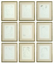 AFTER PABLO PICASSO, Vollard, a set of nine offset lithographs,, linen mountboard, 28cm x 20.5cm.
