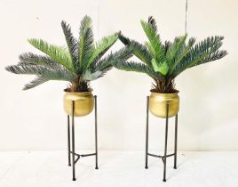 FAUX FERN TREES, in gilt metal planters, 115cm x 75cm x 75cm.