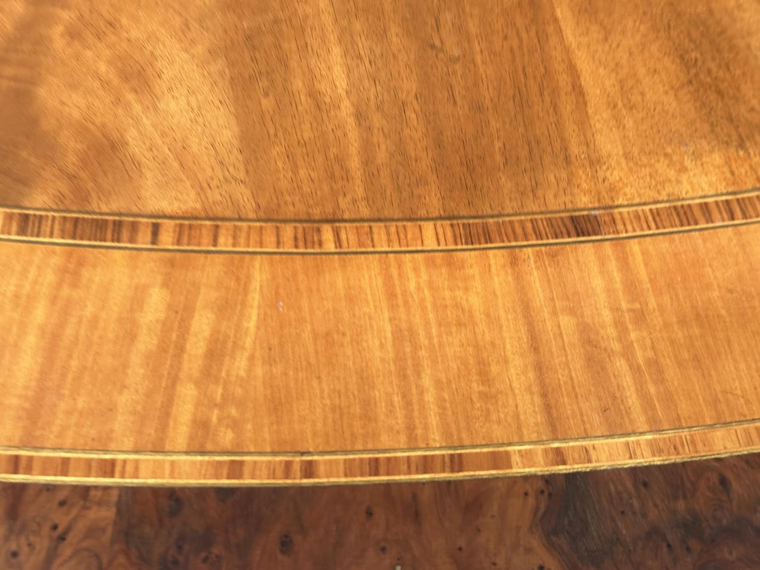 DINING TABLE, circular Regency style radially veneered mahogany and satinwood crossbanded with - Image 8 of 17