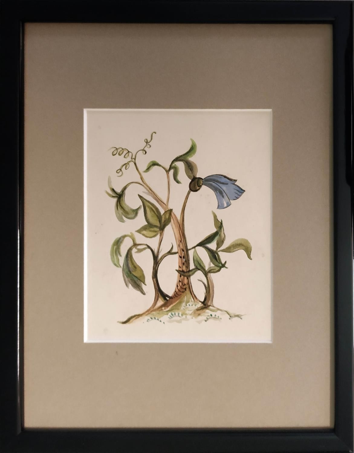 20TH CENTURY SCHOOL 'Botanical Studies', watercolours, 38cm x 24cm, framed (set of four). - Image 4 of 4