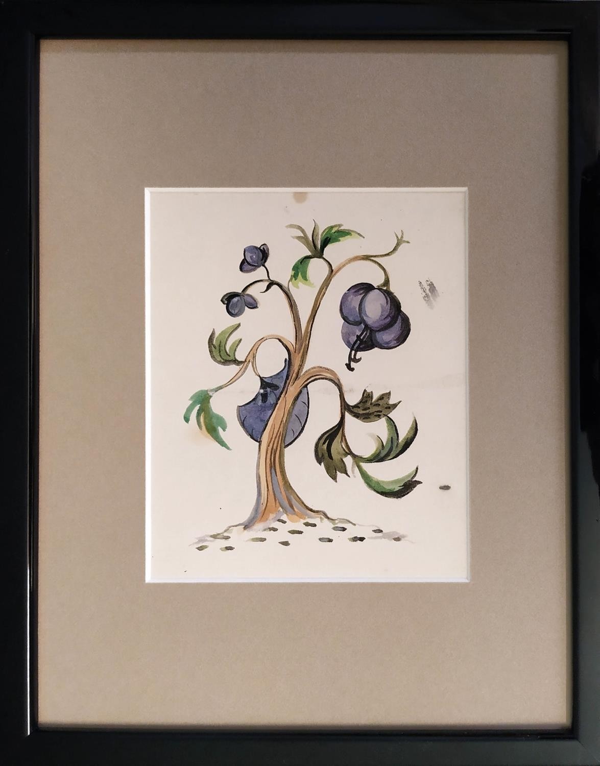 20TH CENTURY SCHOOL 'Botanical Studies', watercolours, 38cm x 24cm, framed (set of four). - Image 3 of 4