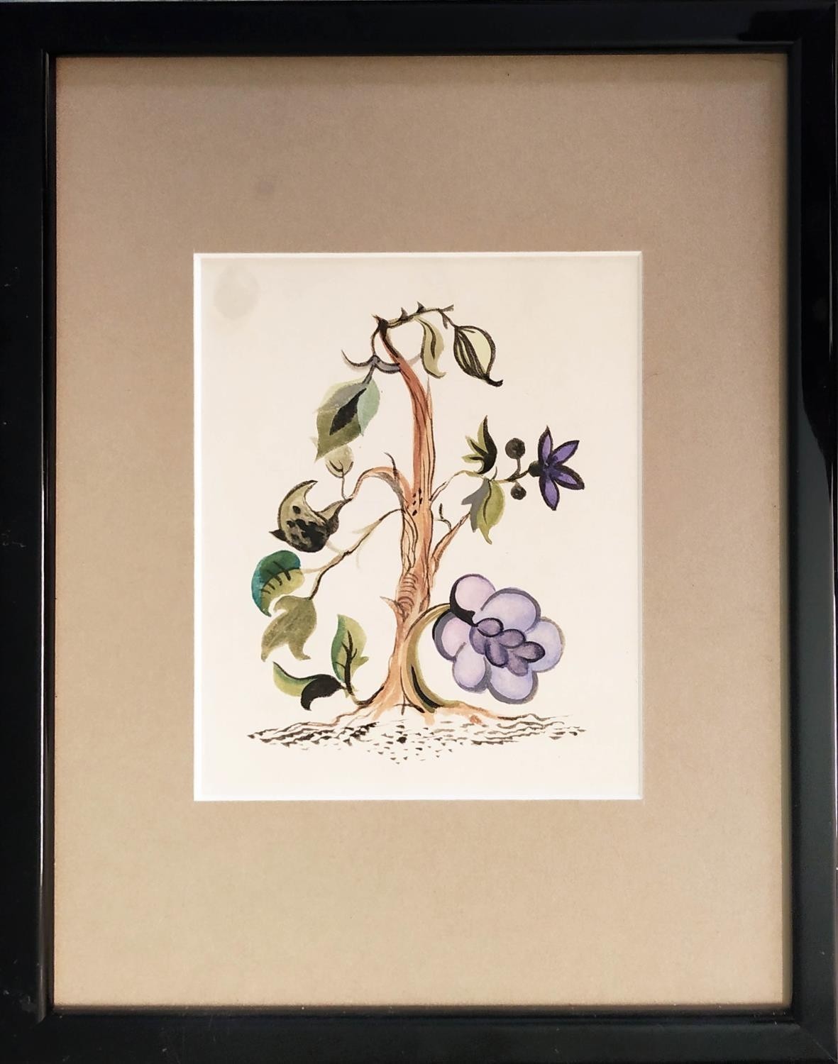 20TH CENTURY SCHOOL 'Botanical Studies', watercolours, 38cm x 24cm, framed (set of four). - Image 2 of 4