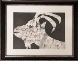 PABLO PICASSO, 'La chevre', lithograph/pochoir, 29cm x 39cm, published 'Arnera, Vallauris', framed.