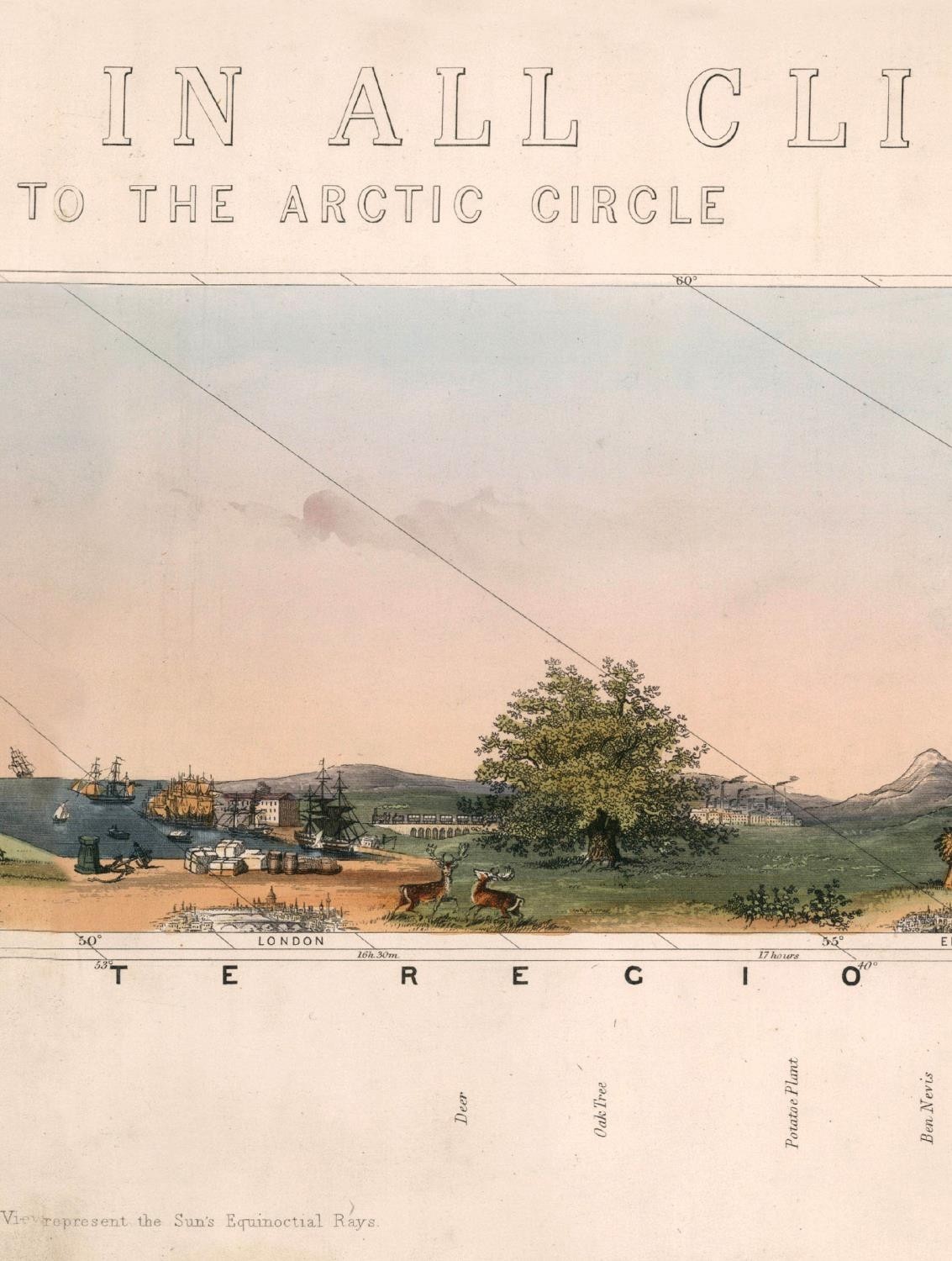 AFTER THE 19TH CENTURY, 'Arctic Circle' lithograph, 45cm x 278cm, framed. - Image 6 of 9