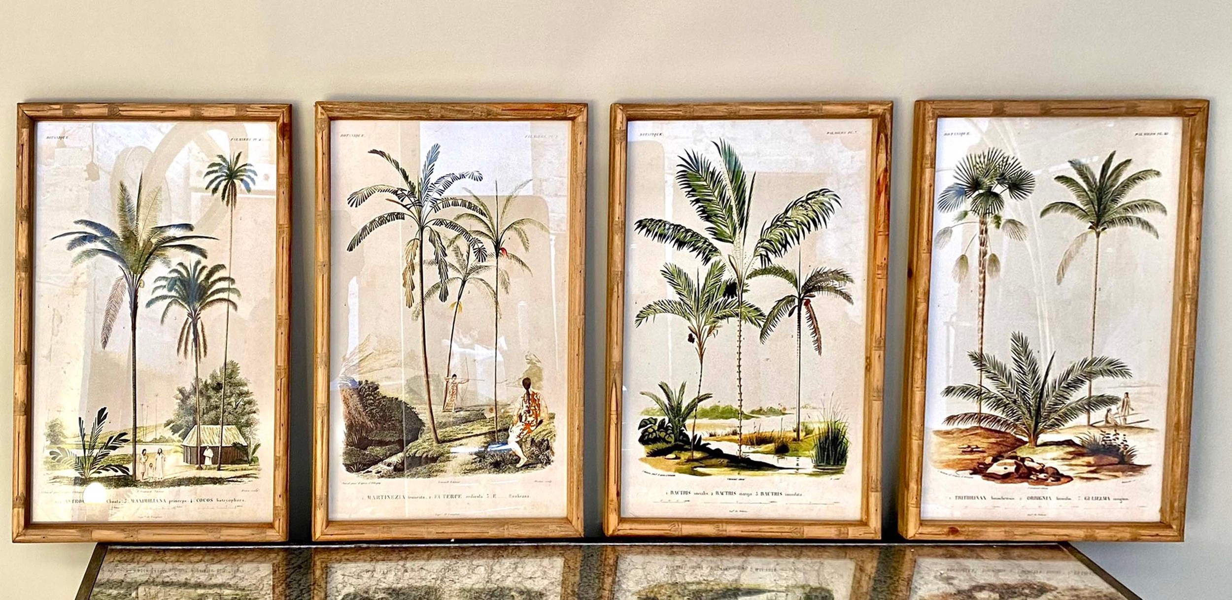 BOTANICAL PRINTS, a set of four, in faux bamboo frames, 50cm H x 35cm. (4)