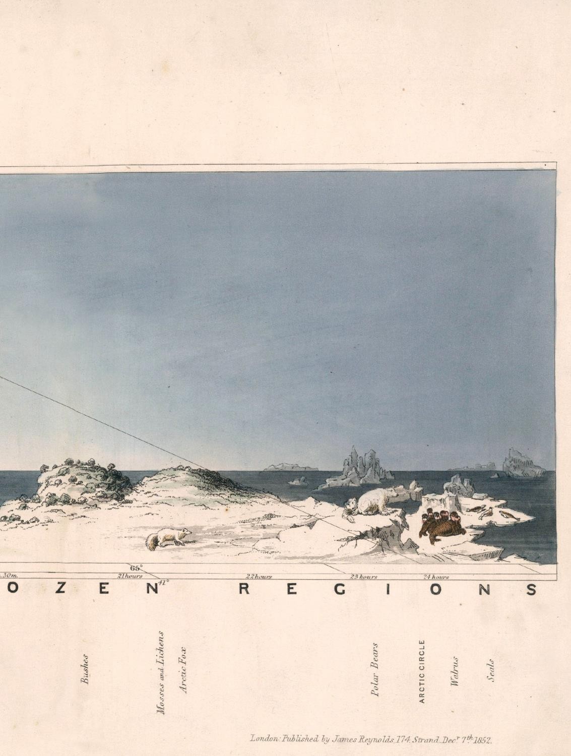 AFTER THE 19TH CENTURY, 'Arctic Circle' lithograph, 45cm x 278cm, framed. - Image 9 of 9