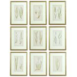 E J LOWE, Grasses, a set of nine botanical prints, circa 1858, 30cm x 23cm each.