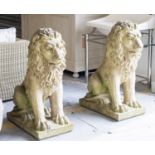 GARDEN LIONS, a pair, reconstituted stone, 94cm H x 41cm x 70cm. (2)