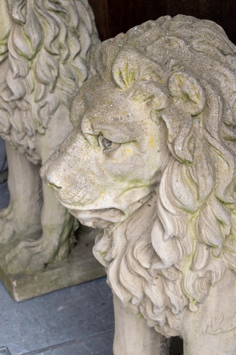 GARDEN LIONS, a pair, reconstituted stone, 94cm H x 41cm x 70cm. (2) - Image 3 of 4