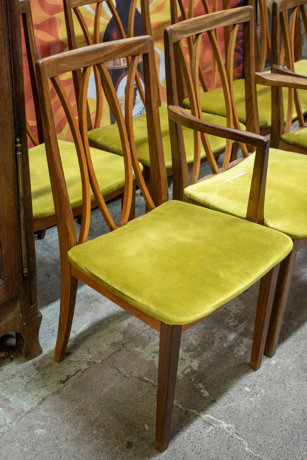 G PLAN DINING CHAIRS, a set of eight, mid 20th century teak including two armchairs with olive - Image 2 of 6