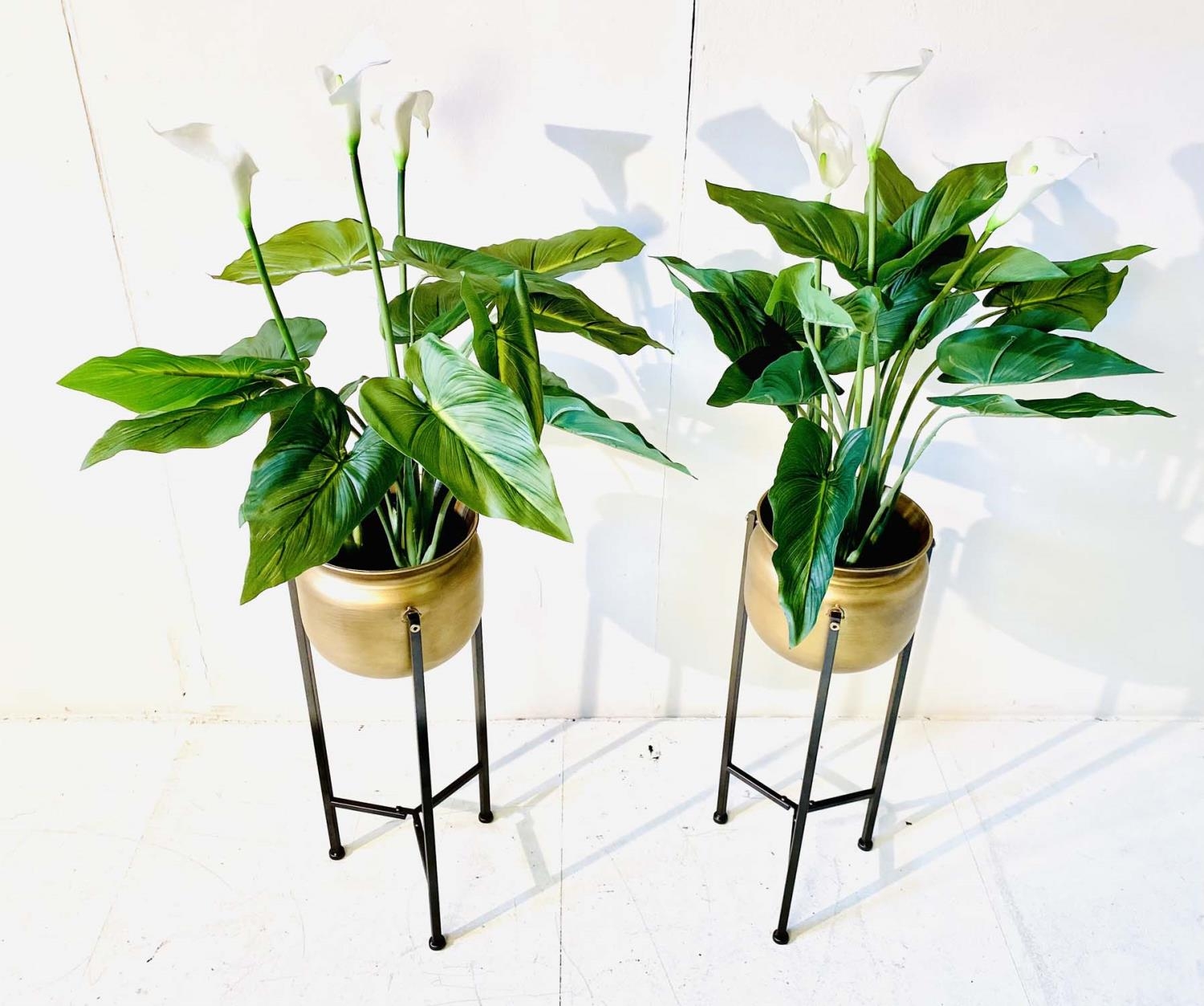 FAUX PEACE LILLIES, a pair, in gilt metal planters, 110cm H (2) - Image 5 of 5