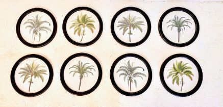 PALM TREE BOTANICAL PRINTS, a set of eight, in circular frames, 35cm W. (8)