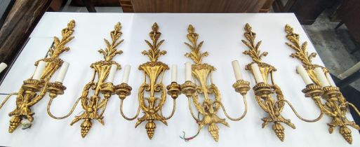 WALL SCONCES, a set of eight brancaia carved and pierced giltwood, 76cm H. (8)