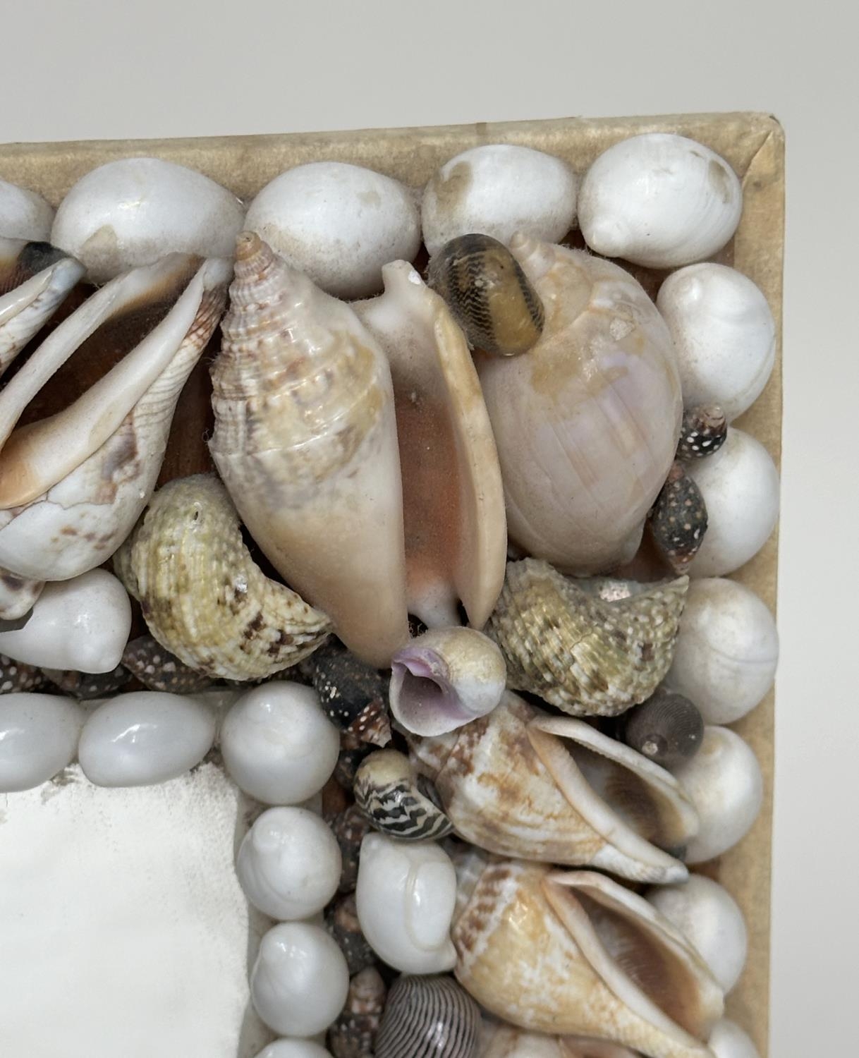 SHELL WALL MIRROR, rectangular natural shell encrusted frame, 43cm x 33cm. - Image 5 of 5