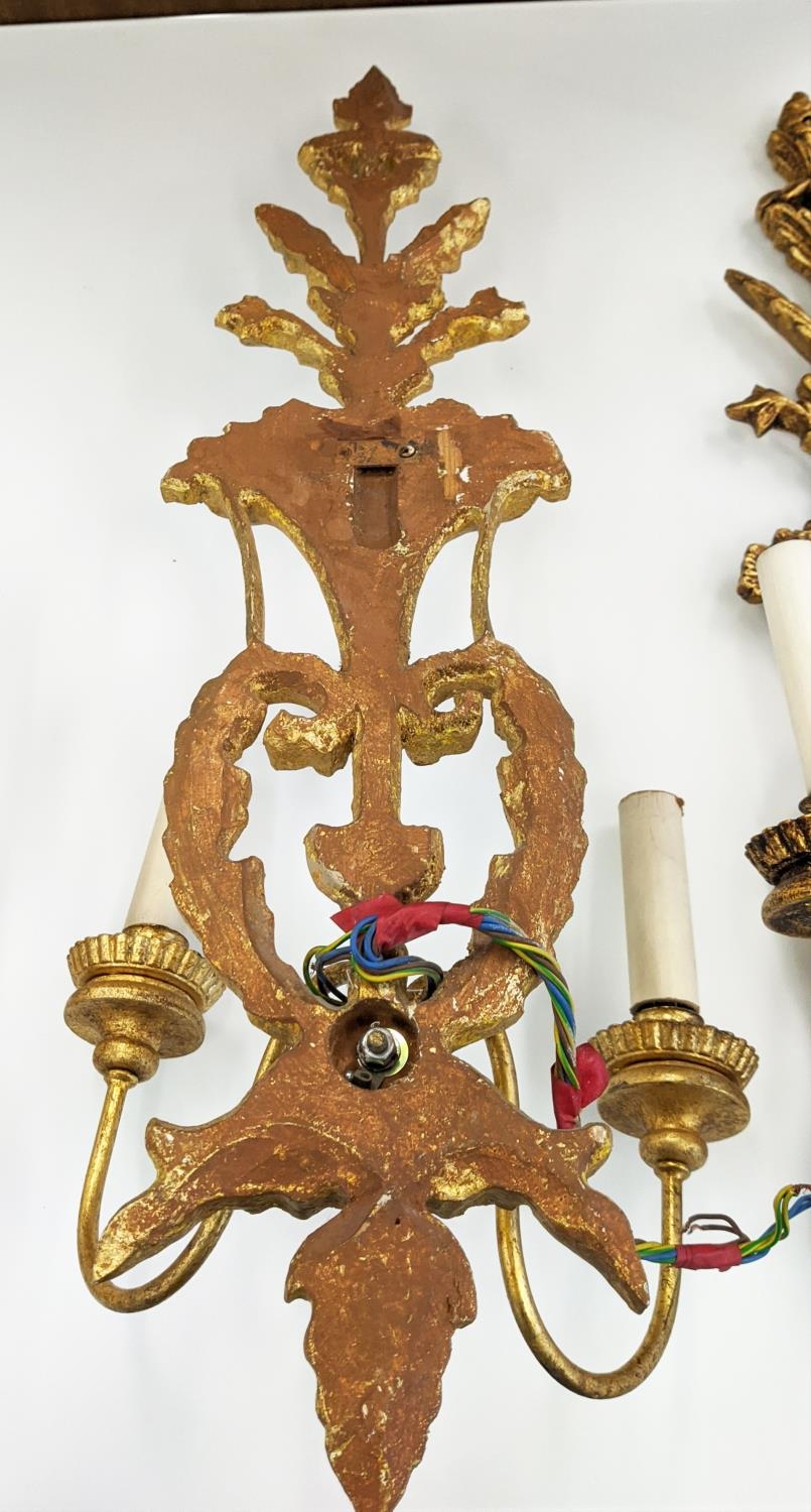 WALL SCONCES, a set of eight brancaia carved and pierced giltwood, 76cm H. (8) - Image 7 of 8