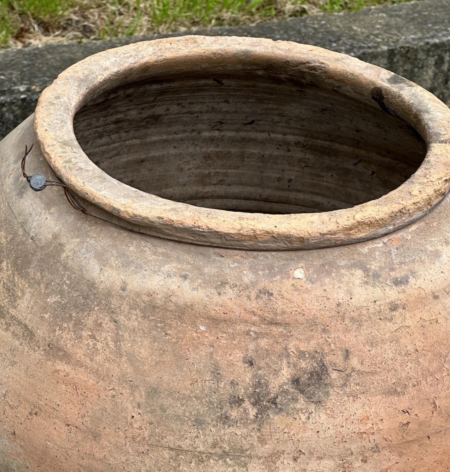 GARDEN OLIVE JAR, well weathered terracotta amphora, with pressed banded detail raised on wrought - Image 7 of 8