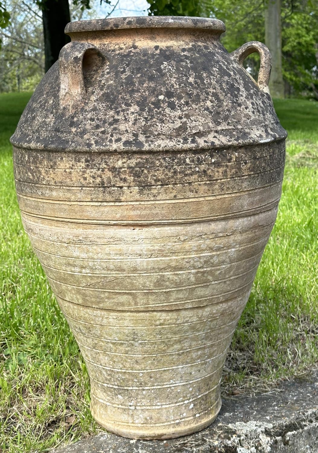 GARDEN AMPHORA, well weathered terracotta with loop handles and incised detail, 73cm H. - Image 8 of 8