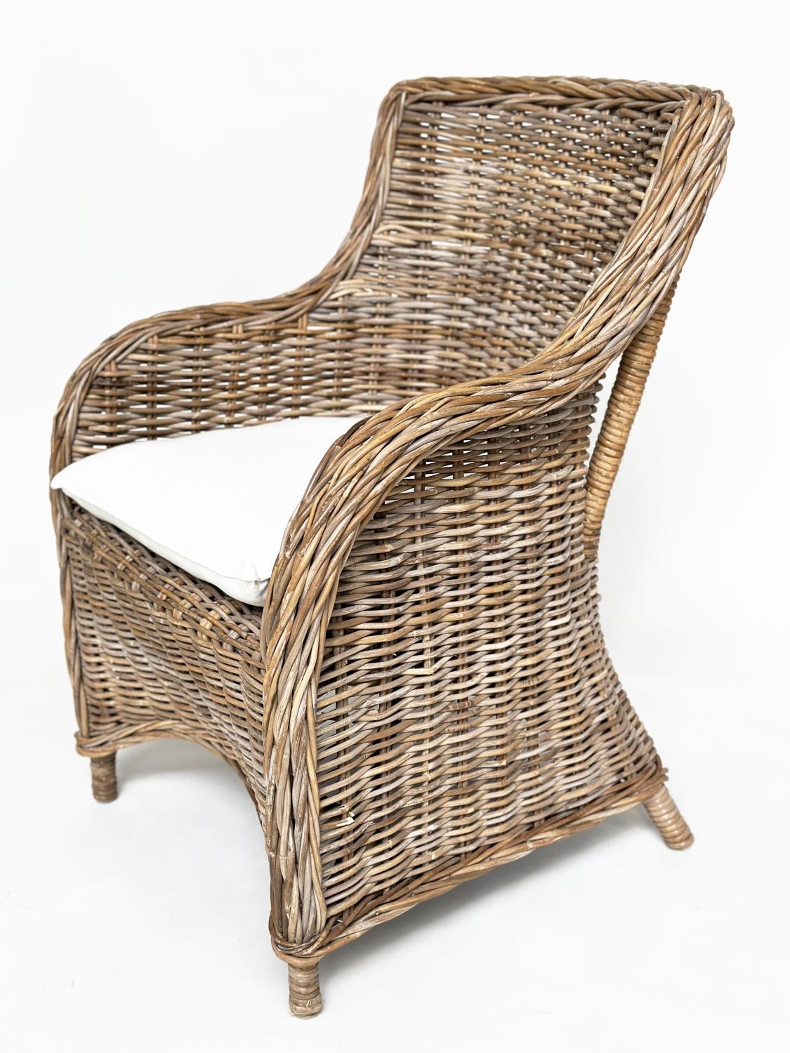 ORANGERY ARMCHAIRS, a pair, rattan framed and cane bound with cushions. (2) - Image 7 of 11