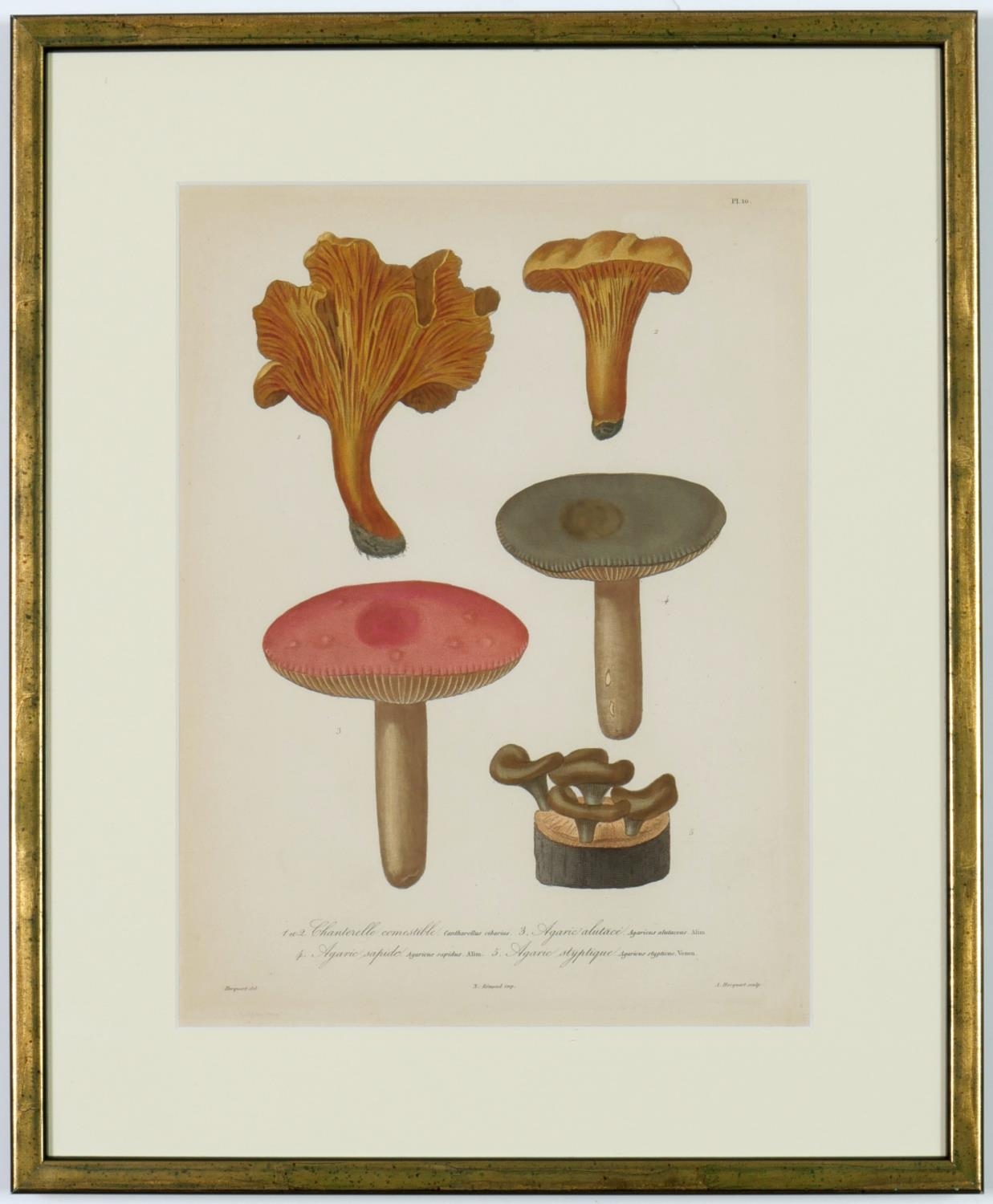 JOSEPH ROQUES, Mushrooms, a set of nine rare engravings with hand colouring, 1864, Victor Masson - Image 3 of 10