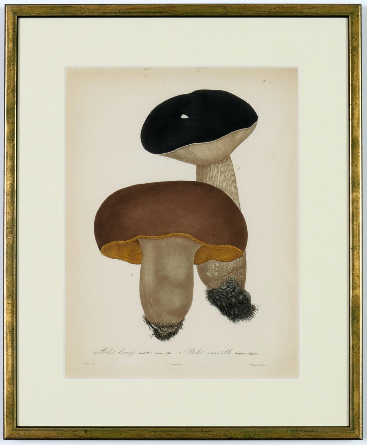 JOSEPH ROQUES, Mushrooms, a set of nine rare engravings with hand colouring, 1864, Victor Masson - Image 10 of 10