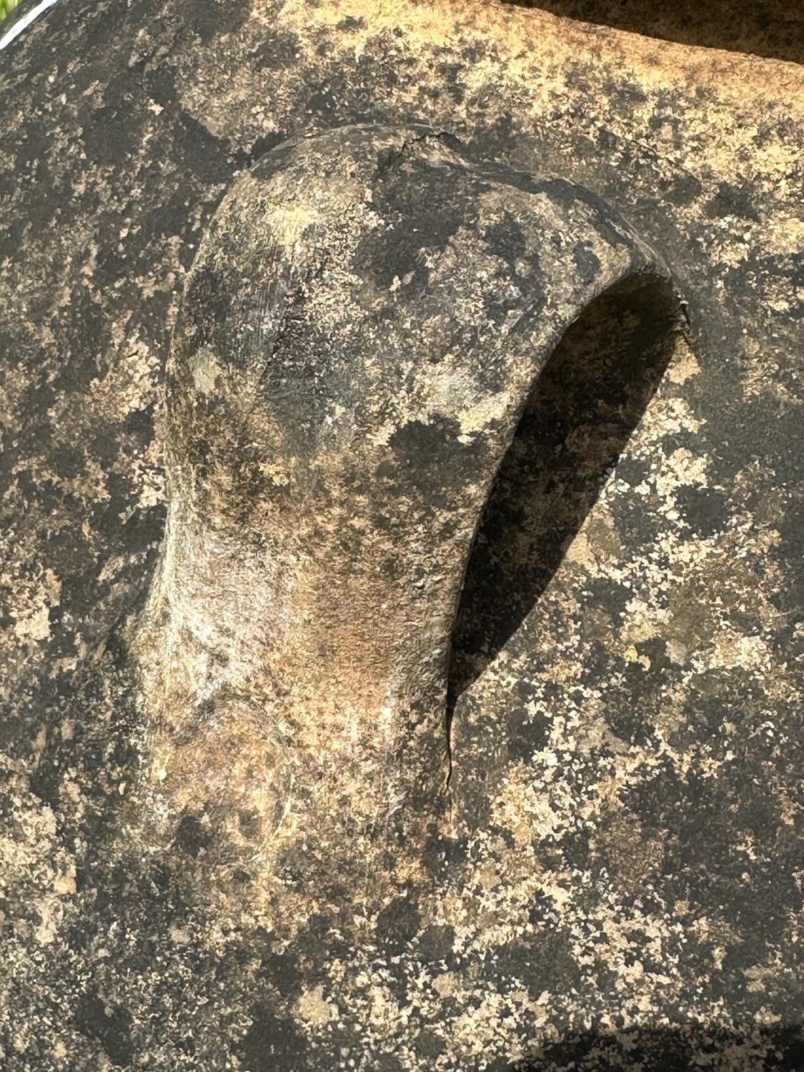 GARDEN AMPHORA, well weathered terracotta with loop handles and incised detail, 73cm H. - Image 6 of 8