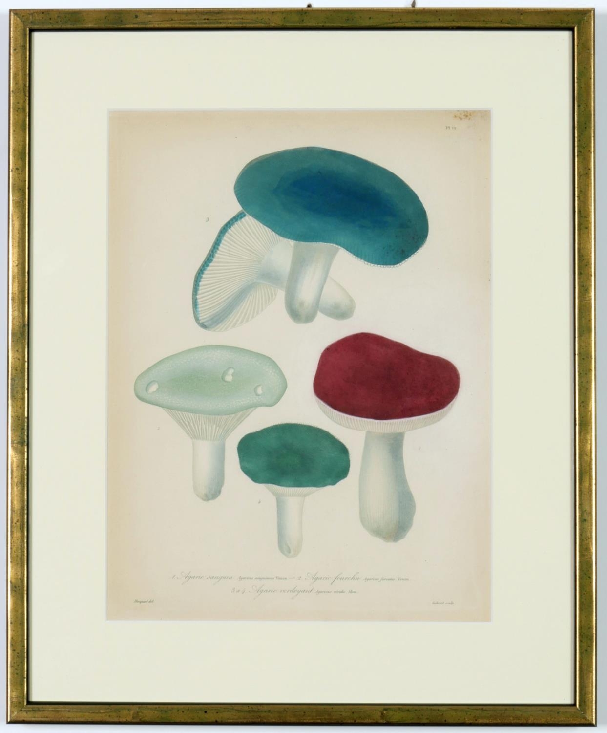 JOSEPH ROQUES, Mushrooms, a set of nine rare engravings with hand colouring, 1864, Victor Masson - Image 8 of 10