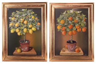 JOSE ESCOFET (Spanish b. 1930) 'Lemon tree' and 'Orange tree', watercolour on print base, signed and