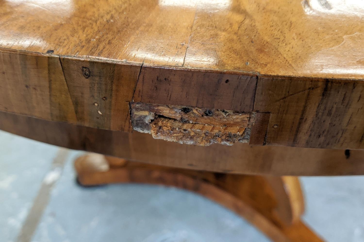 CENTRE TABLE, Biedermeier walnut, ebonised and inlaid with circular segment veneered top, 82cm H x - Image 18 of 20