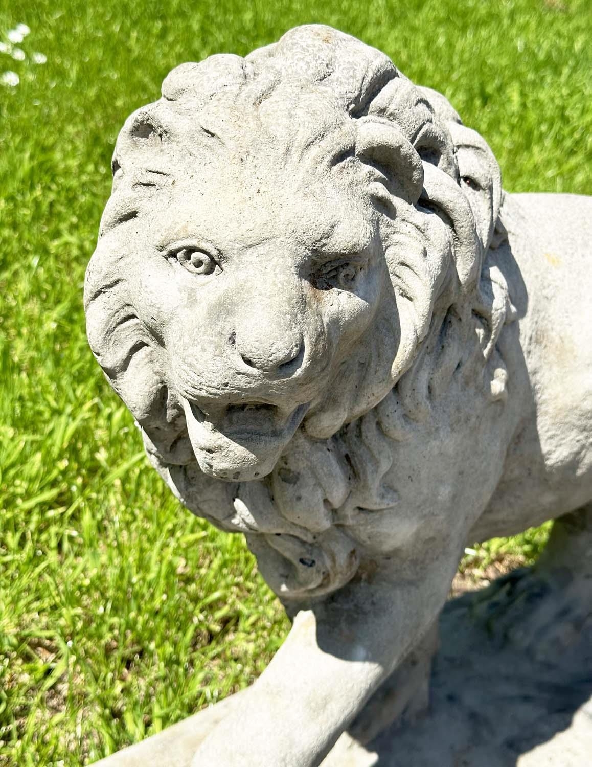 GARDEN LIONS, a pair, weathered reconstituted stone, 58cm H x 70cm W. (2) - Image 11 of 14