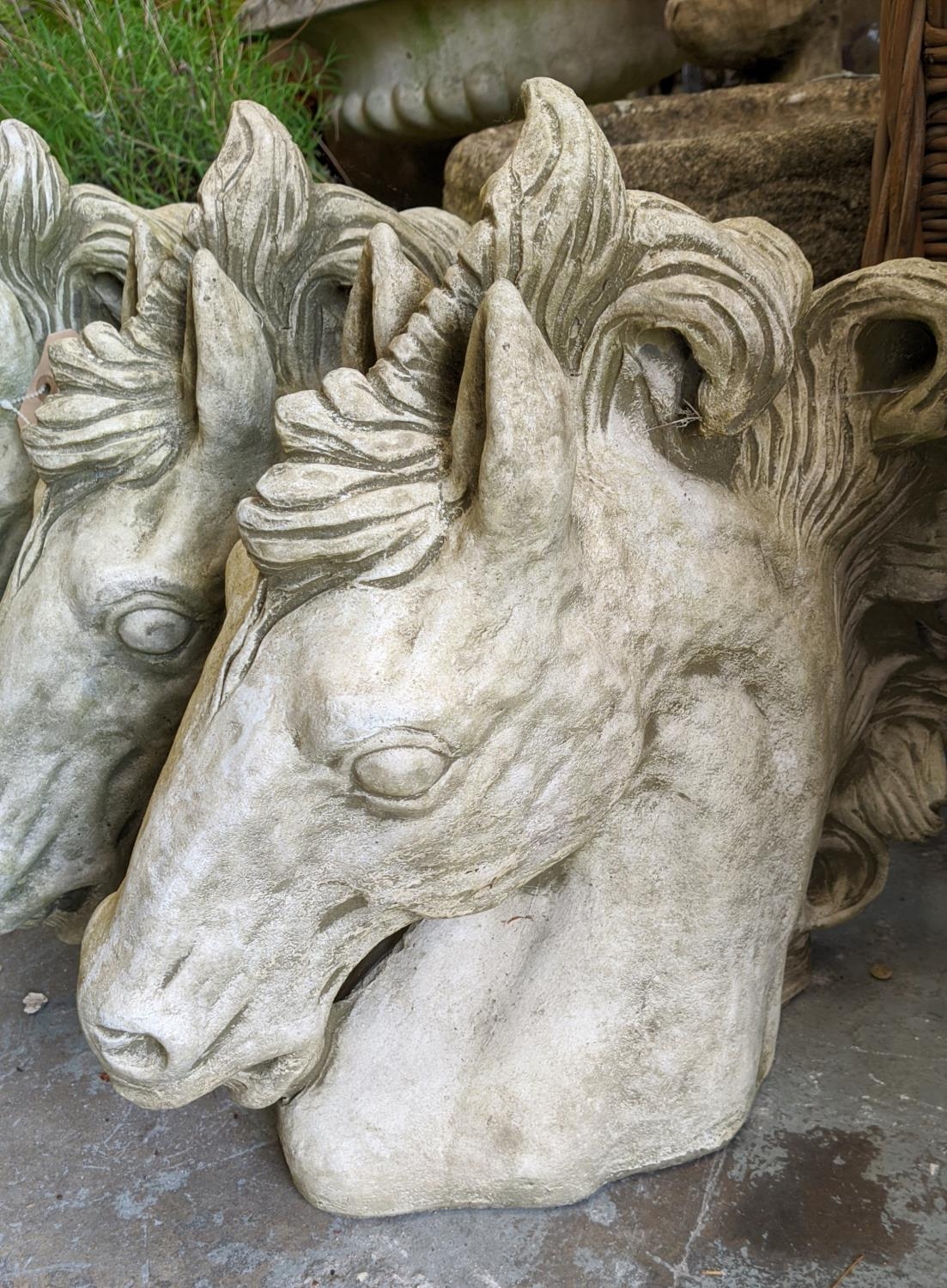 COMPOSITE STONE HORSE HEAD BUSTS, a set of four, 40cm H. (4) - Image 3 of 5