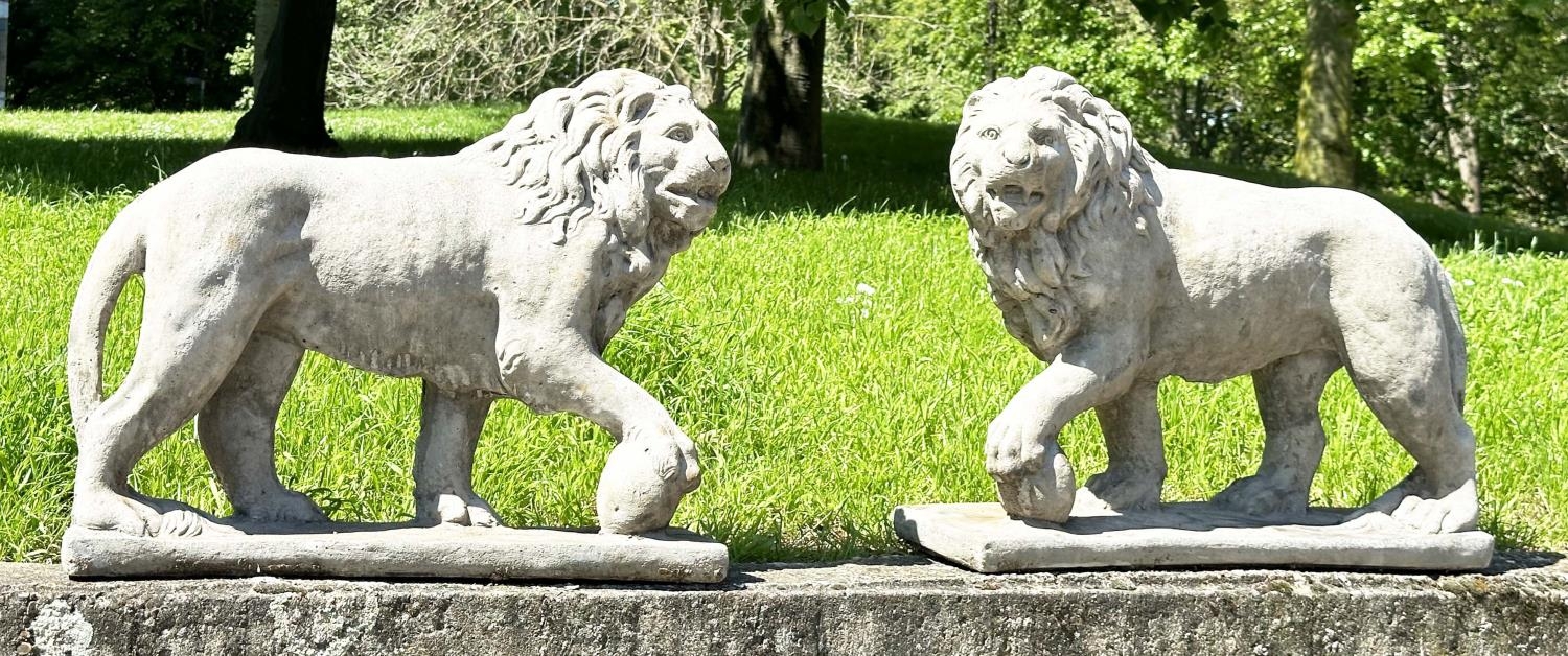 GARDEN LIONS, a pair, weathered reconstituted stone, 58cm H x 70cm W. (2) - Image 4 of 14