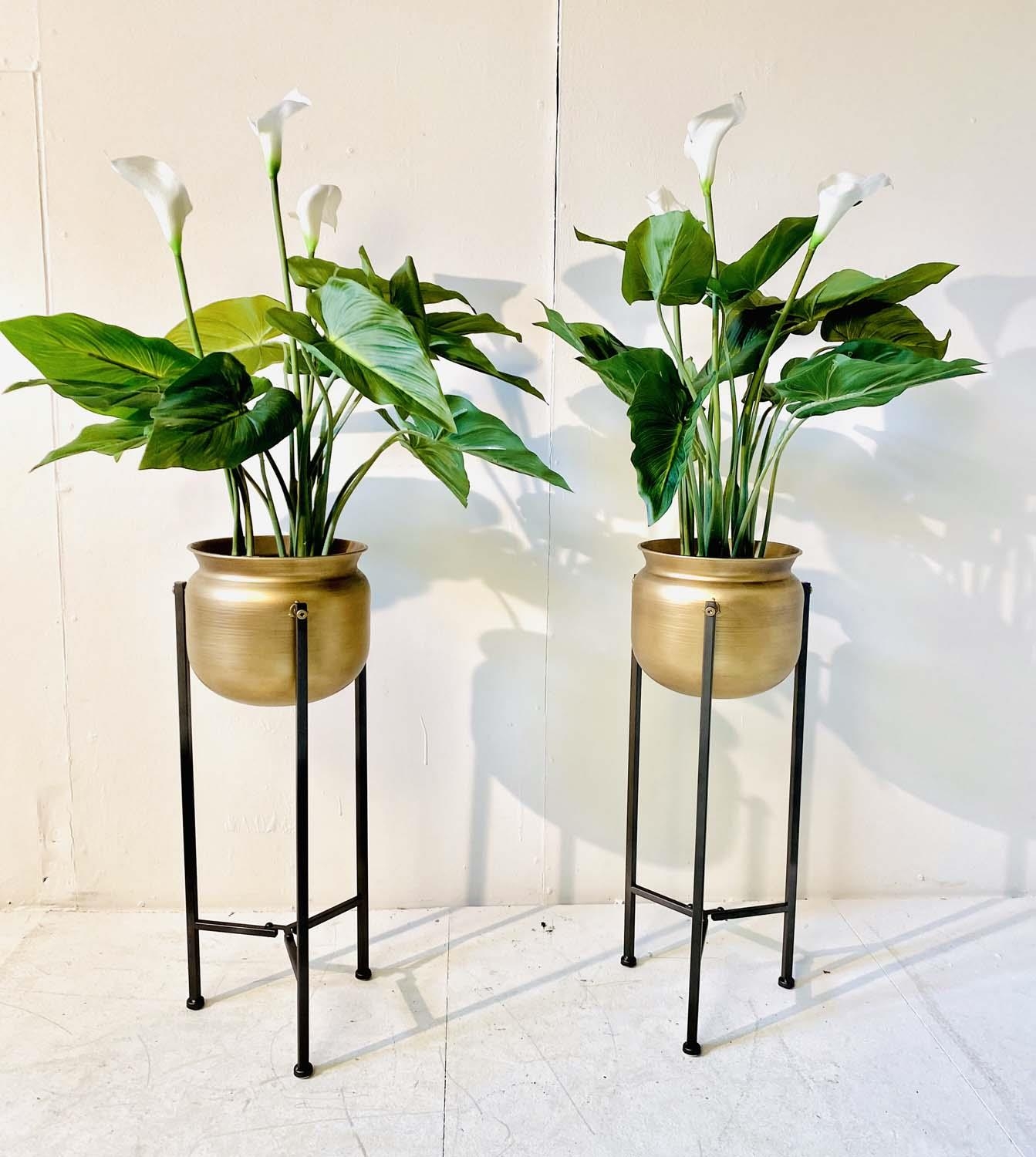 FAUX PEACE LILLIES, a pair, in gilt metal planters, 110cm H (2)