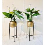 FAUX PEACE LILLIES, a pair, in gilt metal planters, 110cm H (2)