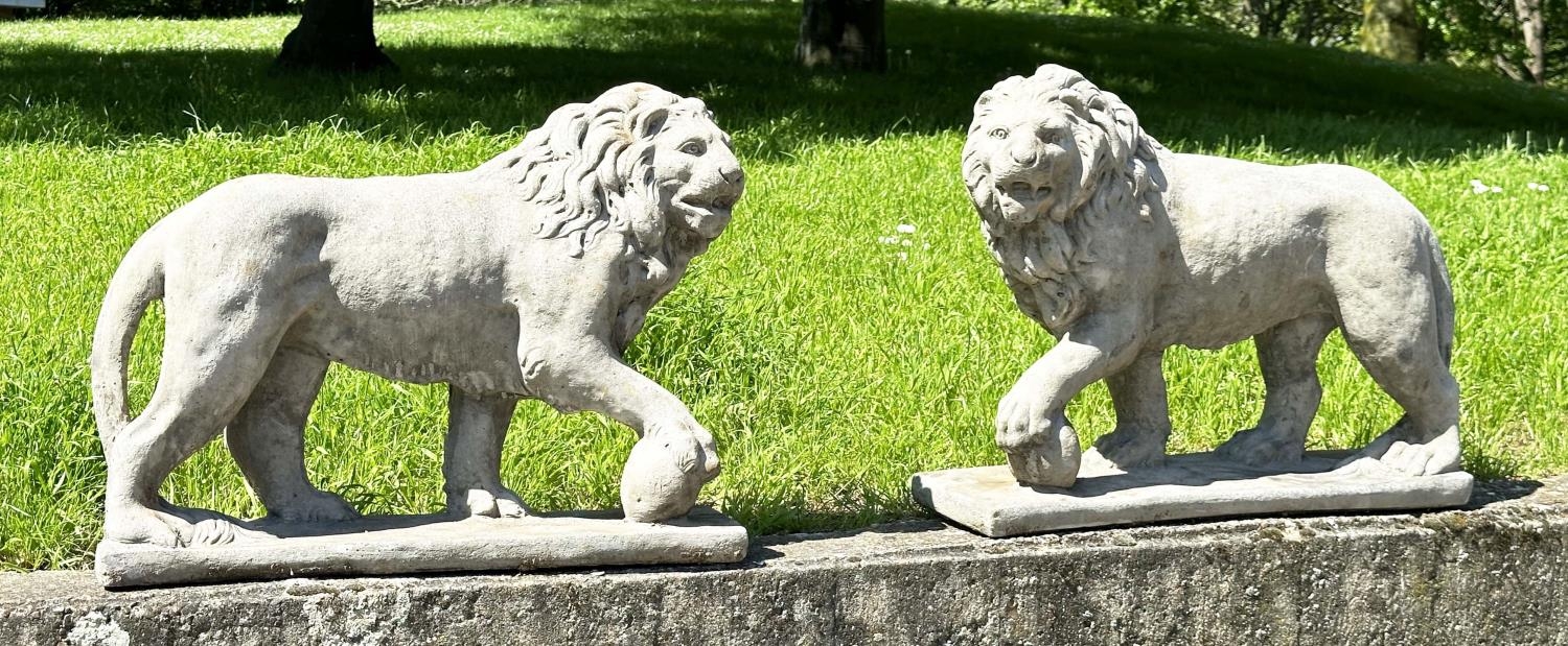 GARDEN LIONS, a pair, weathered reconstituted stone, 58cm H x 70cm W. (2) - Image 2 of 14