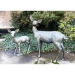 SCULPTURAL DOE AND FAWN, resin in faux bronze finish, 89cm x 80cm x 35cm doe, 62cm x 53cm x 25cm