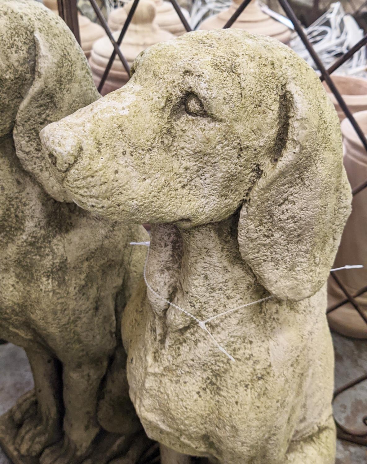 COMPOSITE STONE HOUNDS, a pair, 69cm H. (2) - Image 2 of 4