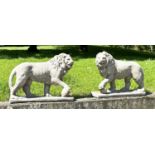 GARDEN LIONS, a pair, weathered reconstituted stone, 58cm H x 70cm W. (2)
