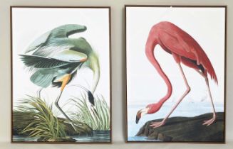 AFTER JOHN JAMES AUDUBON BIRD PRINTS, a set of two, on canvas, framed, 113cm H x 83cm W. (2)