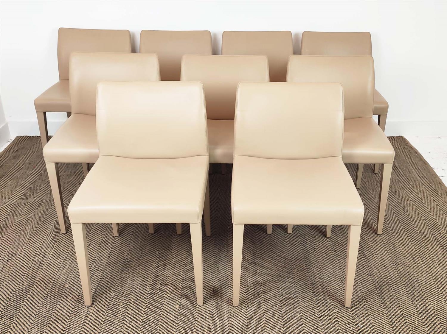 POLTRONA FRAU 42B CHAIRS, a set of eleven, including one carver, logo embossed, carver 55cm W x 81cm