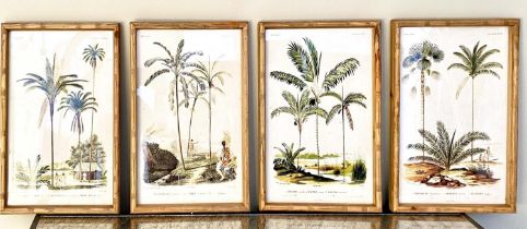 BOTANICAL PRINTS, a set of four, framed, 50cm H x 35cm. (4)