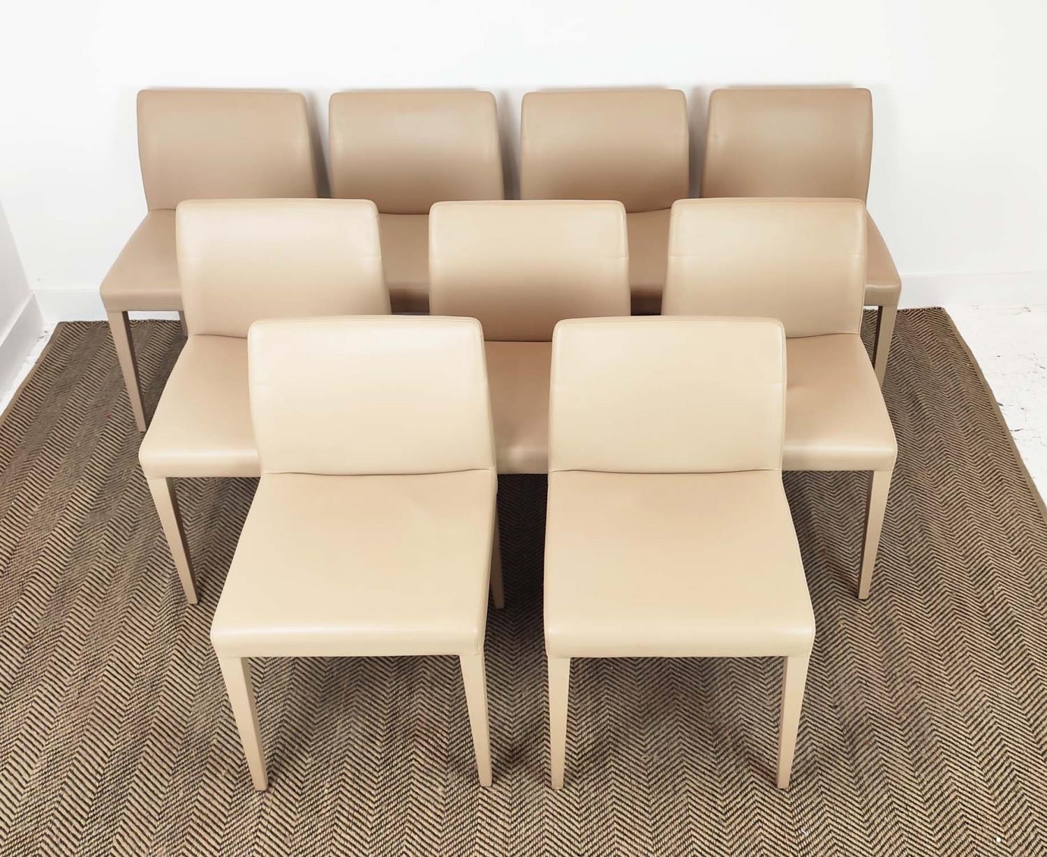 POLTRONA FRAU 42B CHAIRS, a set of eleven, including one carver, logo embossed, carver 55cm W x 81cm - Image 2 of 9