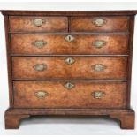 CHEST, early 18th century English Queen Anne burr walnut and holly crossbanded with two short and